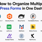 How to Organize Multiple WordPress Forms in One Dashboard